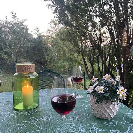 Bergstrasse Apartment *